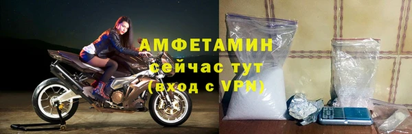 хмурый Алзамай