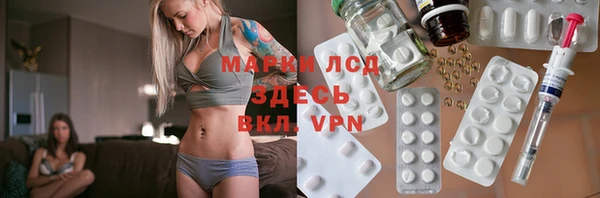 хмурый Алзамай