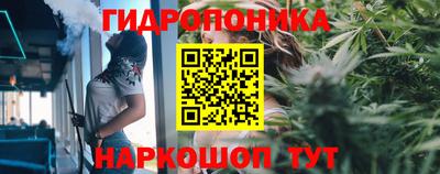 прущая мука Будённовск