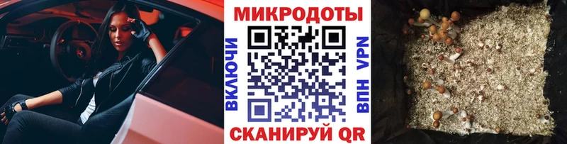 сайты даркнета Telegram  Десногорск  Галлюциногенные грибы мухоморы 