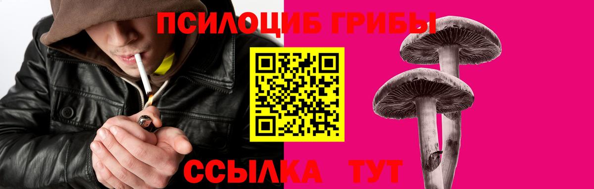 Десногорск  Псилоцибиновые грибы Magic Shrooms  Вход с VPN 